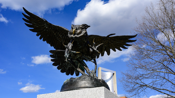 Owl statue