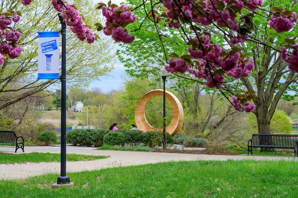 Reflection Garden on campus