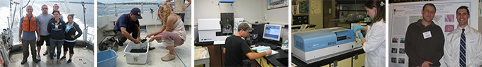 A collage of images showing students and faculty in laboratories and outdoors